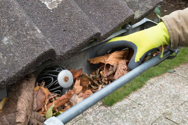 Commercial Downspout Cleaning in Littleton, CO