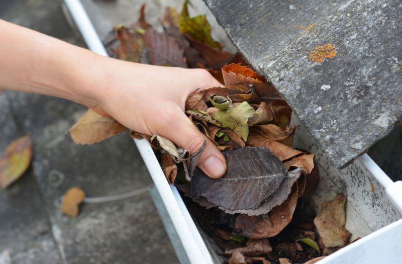 Business Gutter Cleaning in Denver County, CO