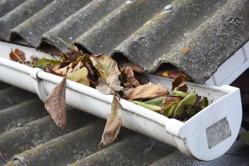 Clogged Gutter Clearing in Baltimore, MD
