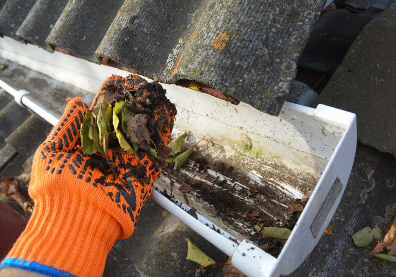 Clogged Gutter Clearing in Monmouth County, NJ