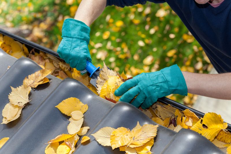 Commercial Gutter Maintenance in Denver County, CO