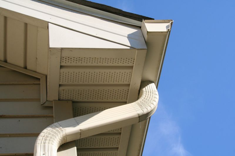 Downspout Cleaning in Long Island, NY