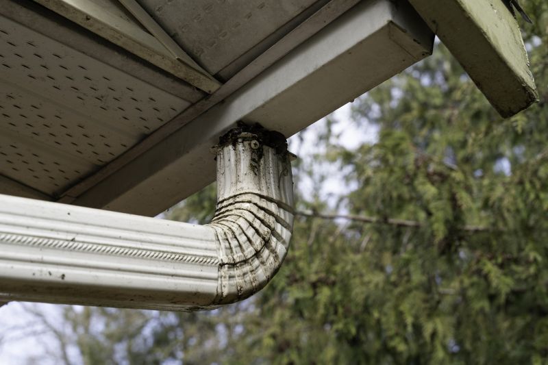 Downspout Snaking in Fredericksburg, VA