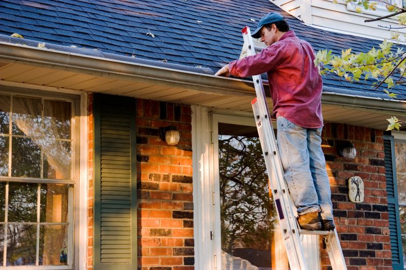 Gutter Cleaning in Arvada, CO