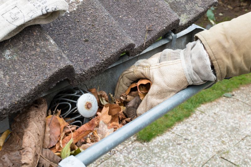 Gutter Cleaning in Baltimore, MD