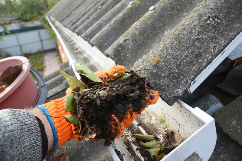 Gutter Cleaning in Richmond, VA