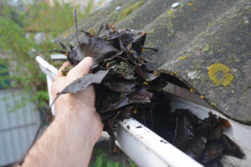 Gutter Cleaning in Rochester, NY
