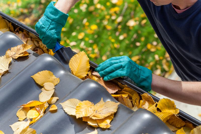 Gutter Leaf Clearing in Baltimore, MD