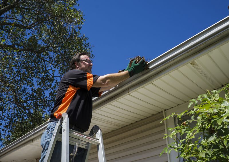 Gutter Leaf Clearing in Frederick, MD