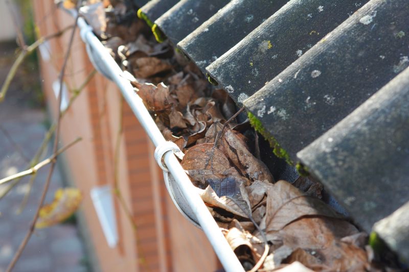 Gutter Leaf Clearing in Westchester County, NY