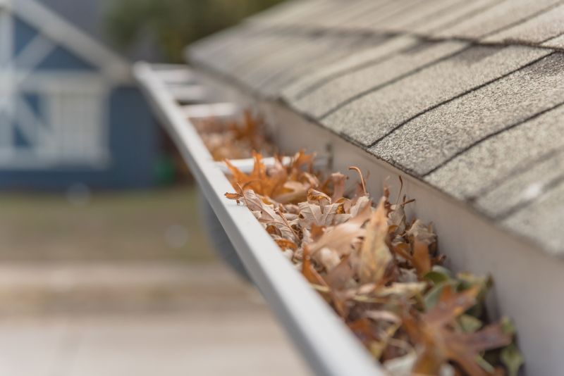 Gutter Leaves Removal in Monmouth County, NJ