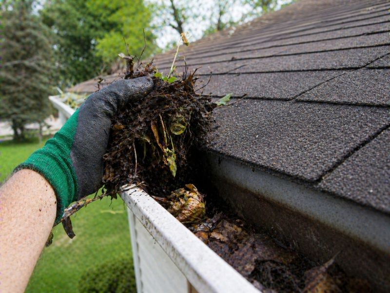 Gutter Maintenance in Frederick, MD