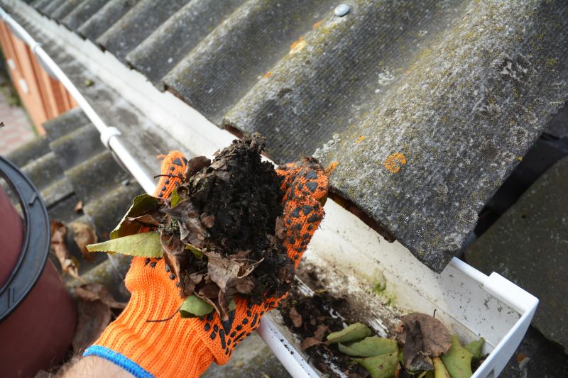 Gutter Pine Needle Removal in Morris County, NJ