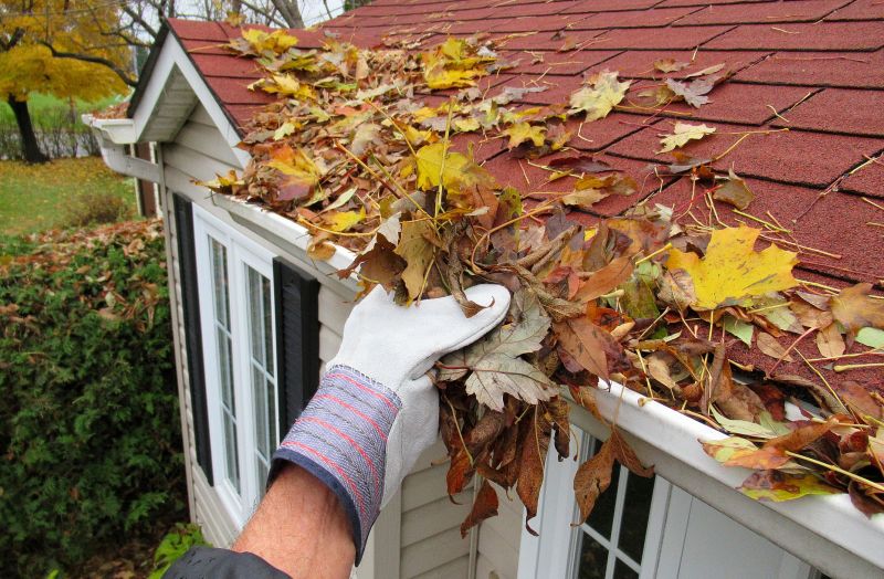 Gutter Pine Needle Removal in Baltimore, MD