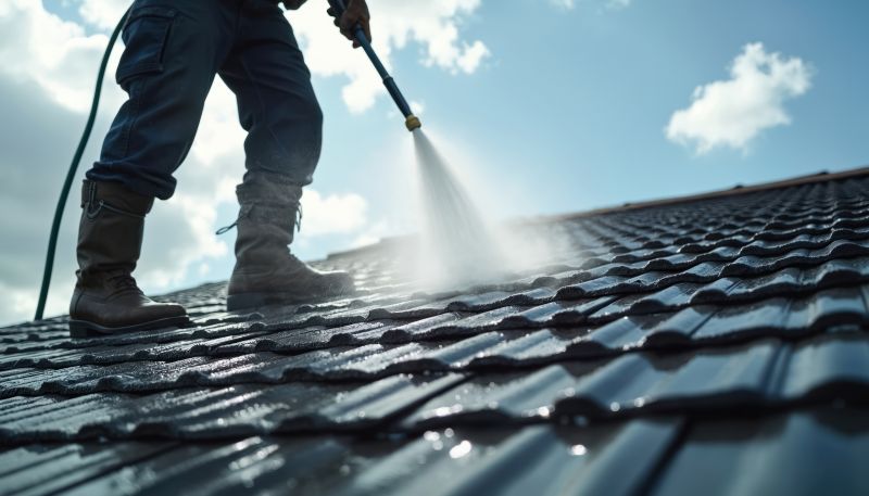 Roof Dirt Removal in Vancouver, WA