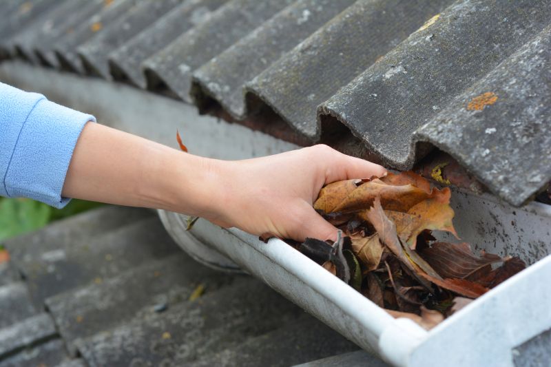 Roof Gutter Cleaning in Bergen County, NJ