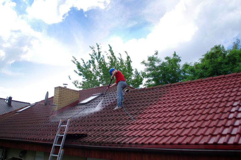 Roof Stain Removal in Vancouver, WA