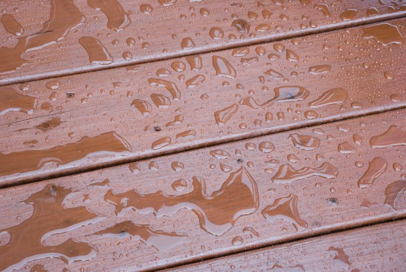 Wood Waterproofing in Bellevue, WA